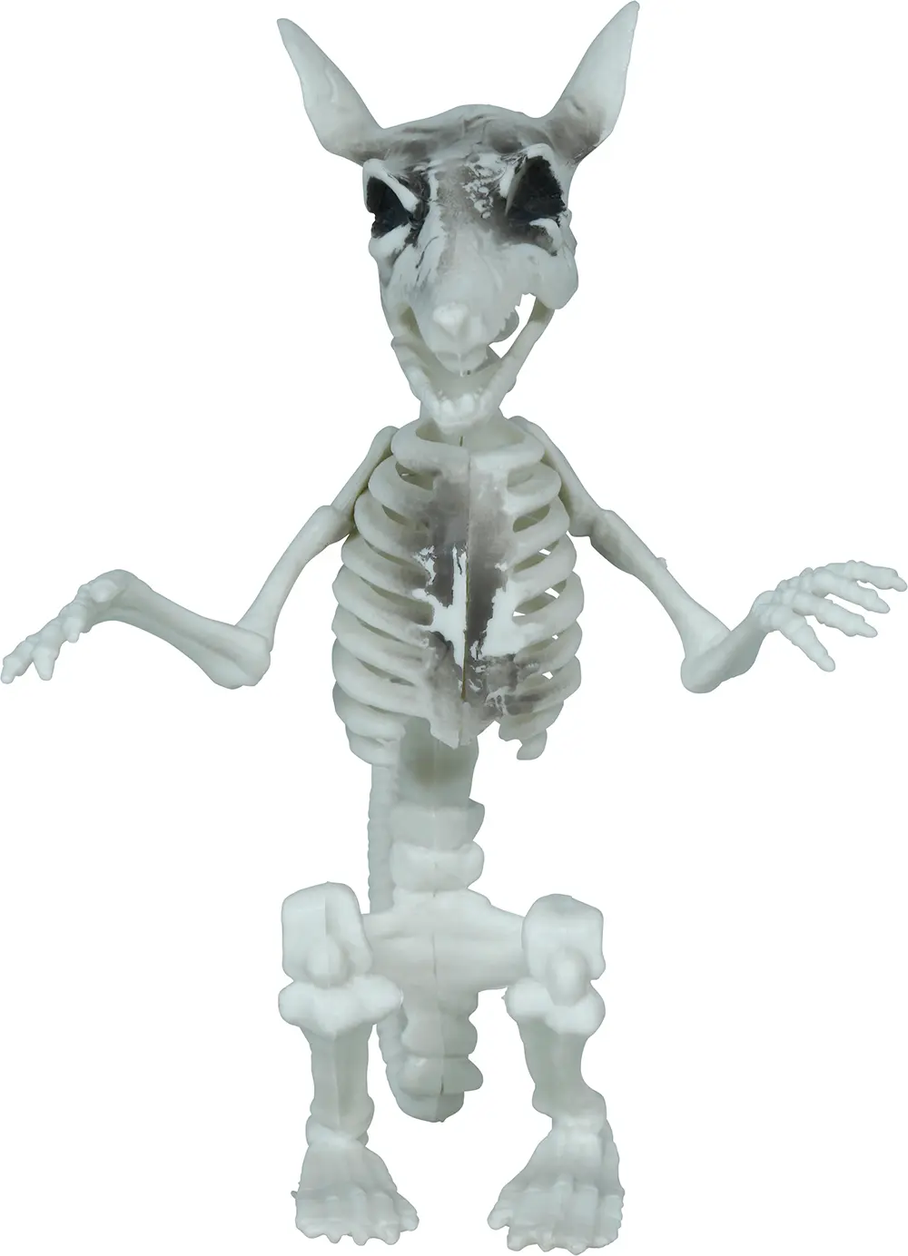 Skeletrotte, PVC, 17 cm