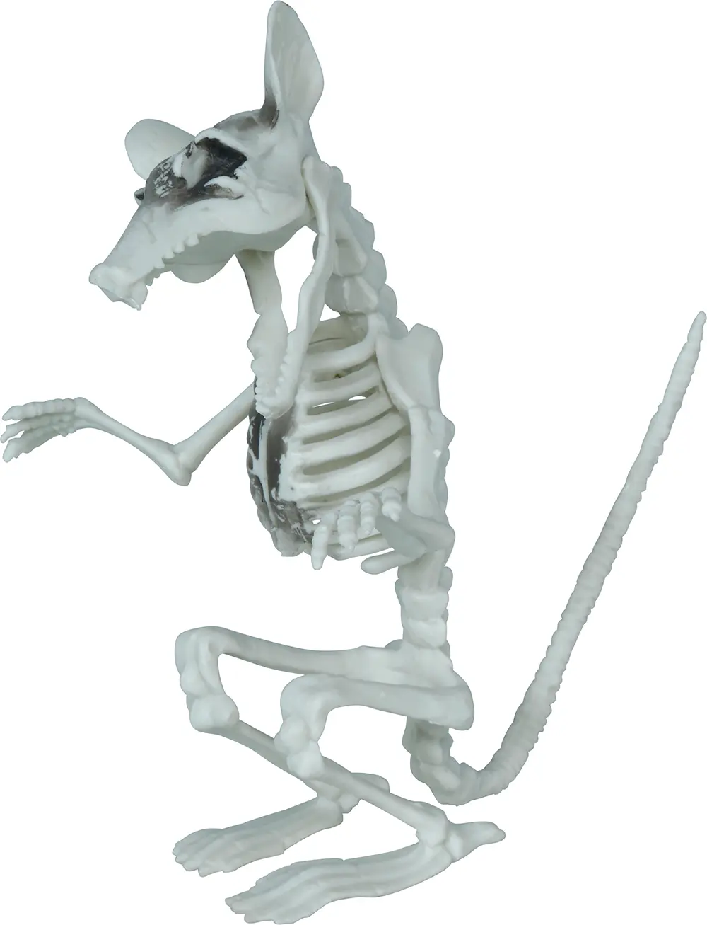 Skeletrotte, PVC, 17 cm