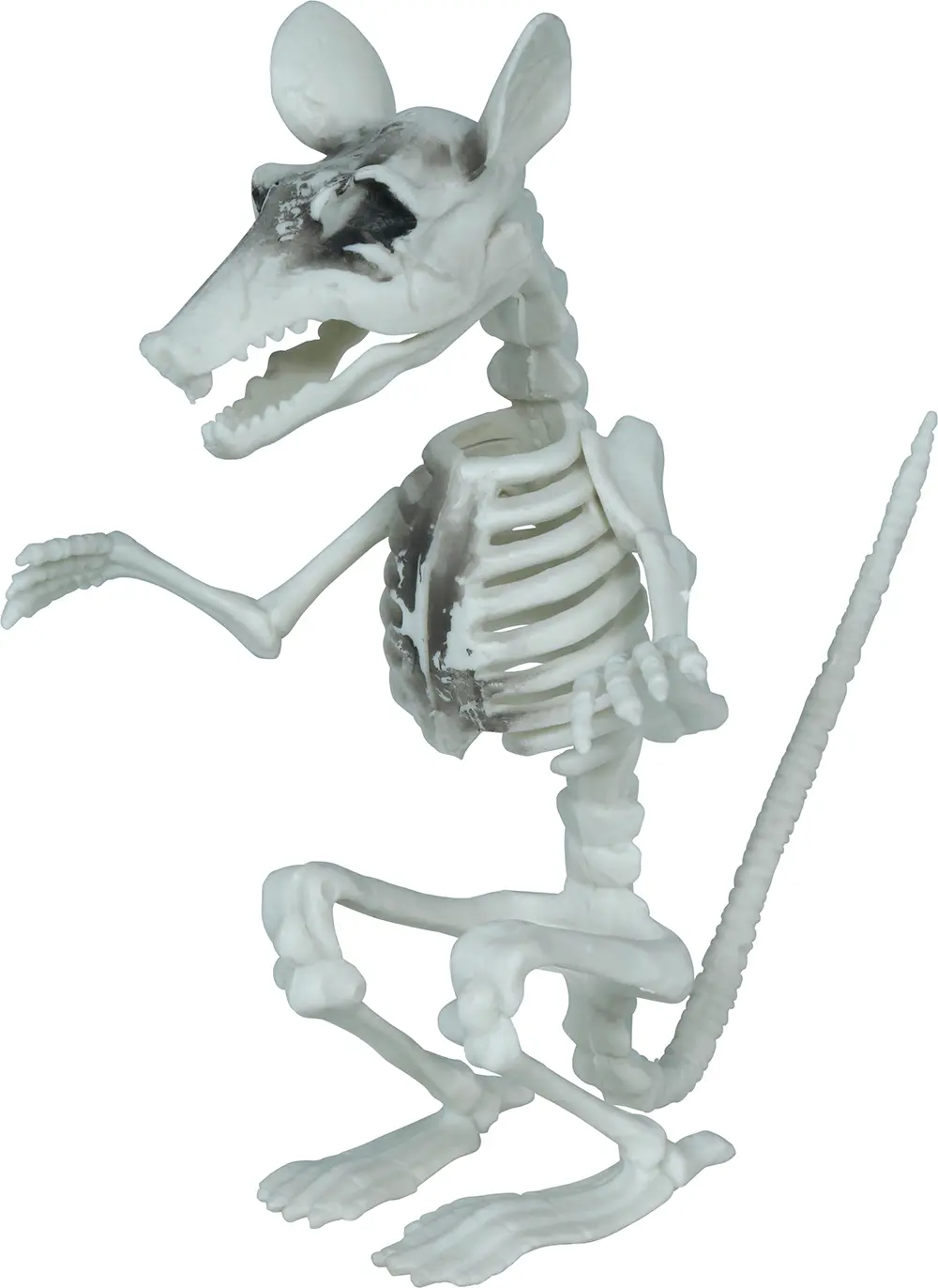 Skeletrotte, PVC, 17 cm