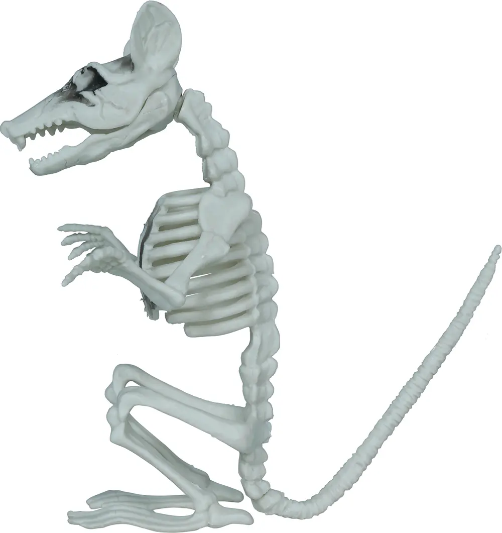 Skeletrotte, PVC, 17 cm