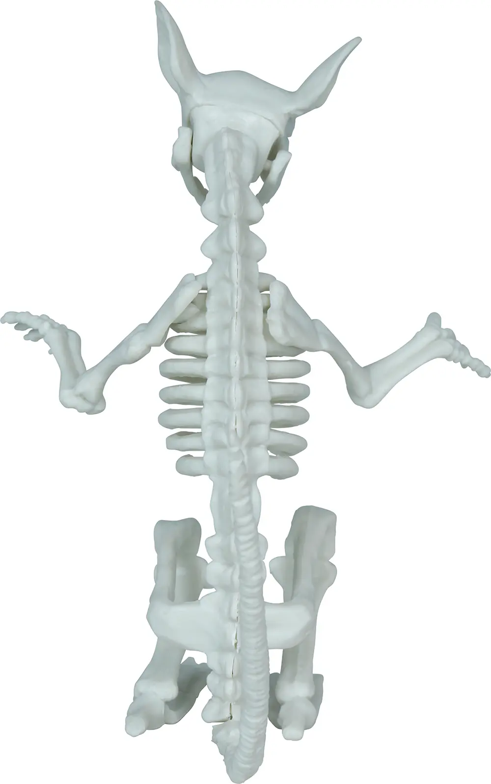 Skeletrotte, PVC, 17 cm