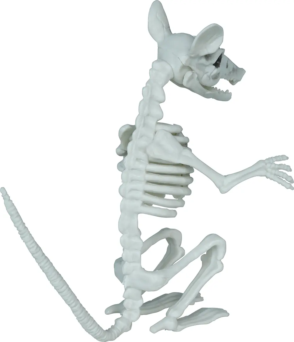 Skeletrotte, PVC, 17 cm