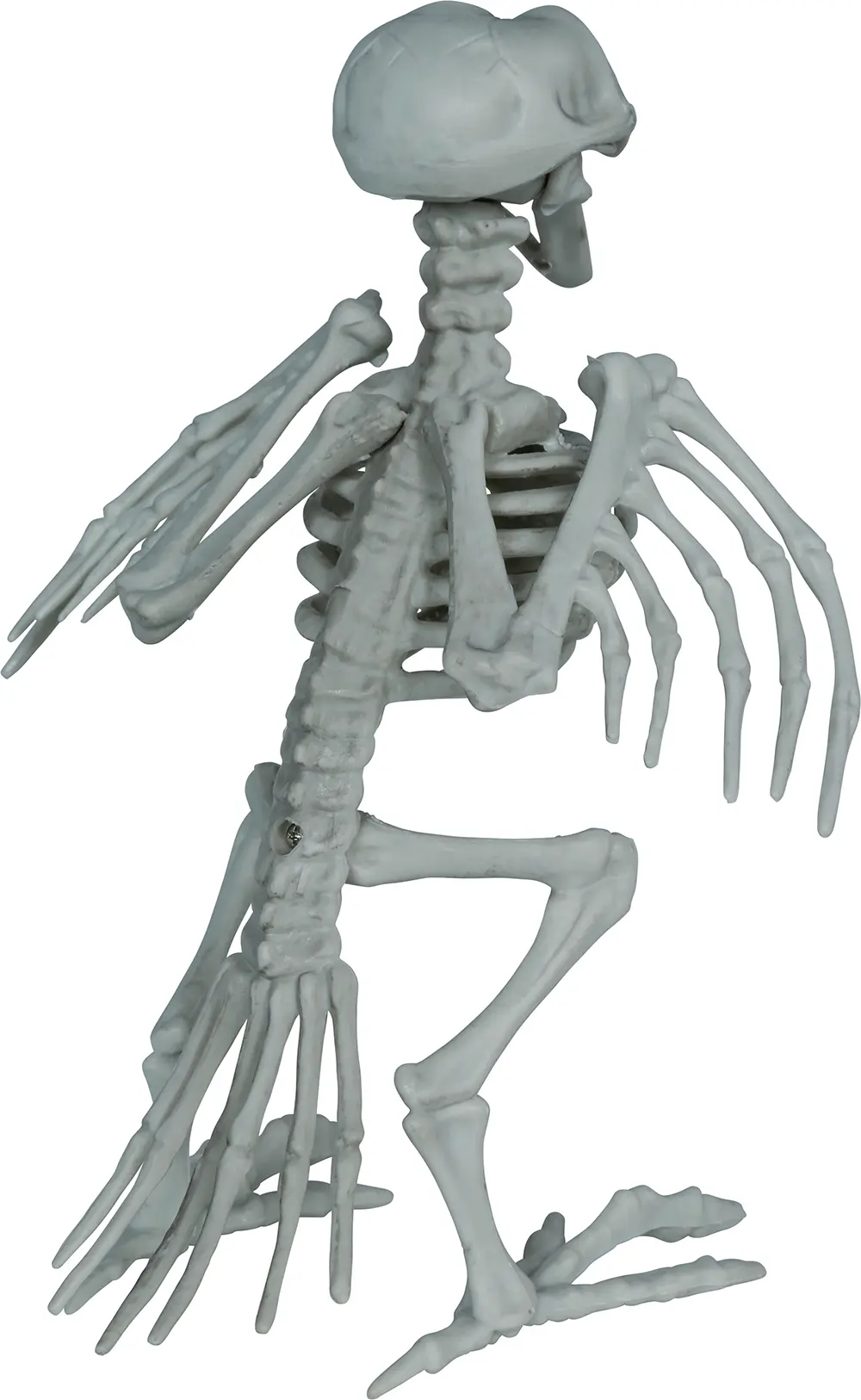 Skeletkrage, PVC, 20 cm