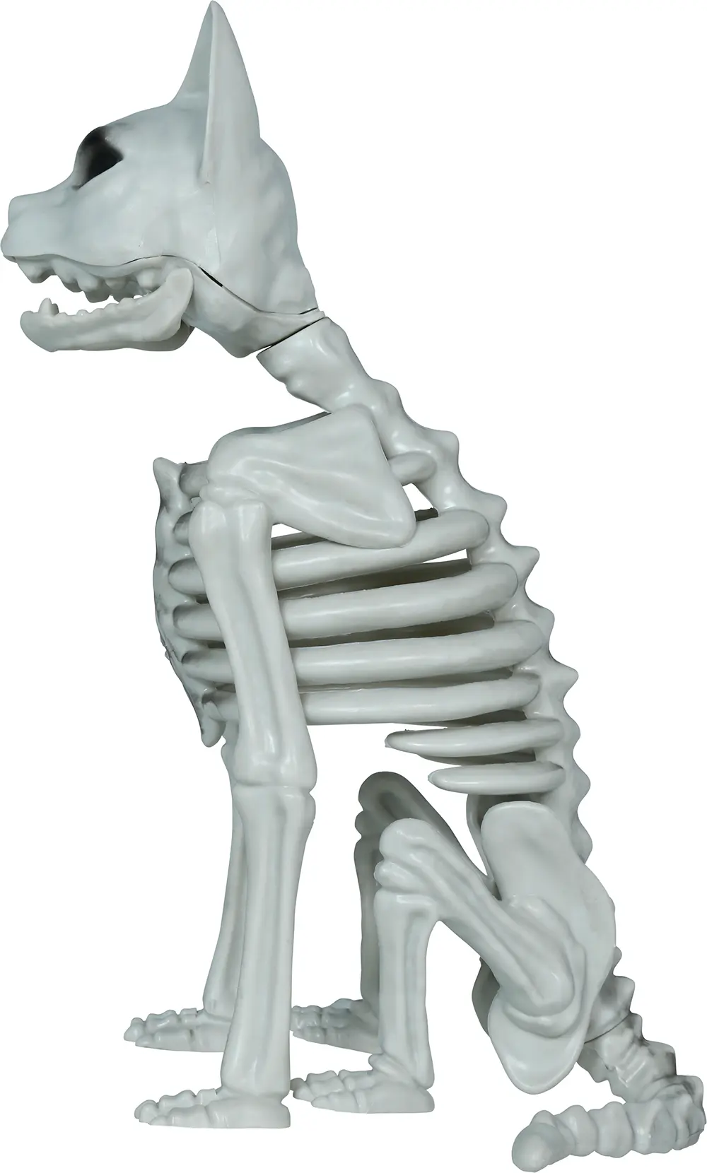 Skeletkat, PVC, 37 cm