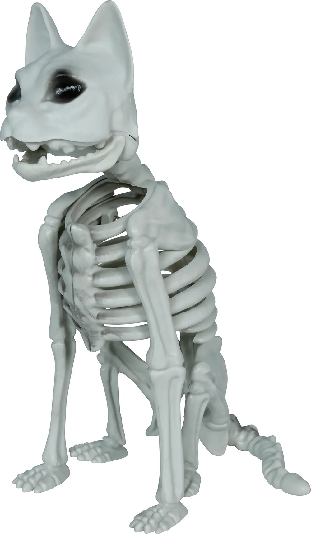 Skeletkat, PVC, 37 cm