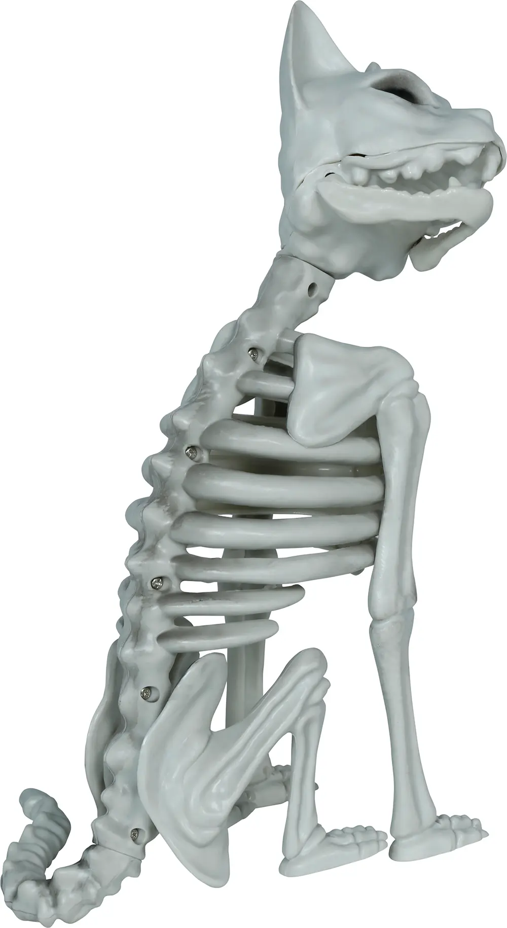 Skeletkat, PVC, 37 cm
