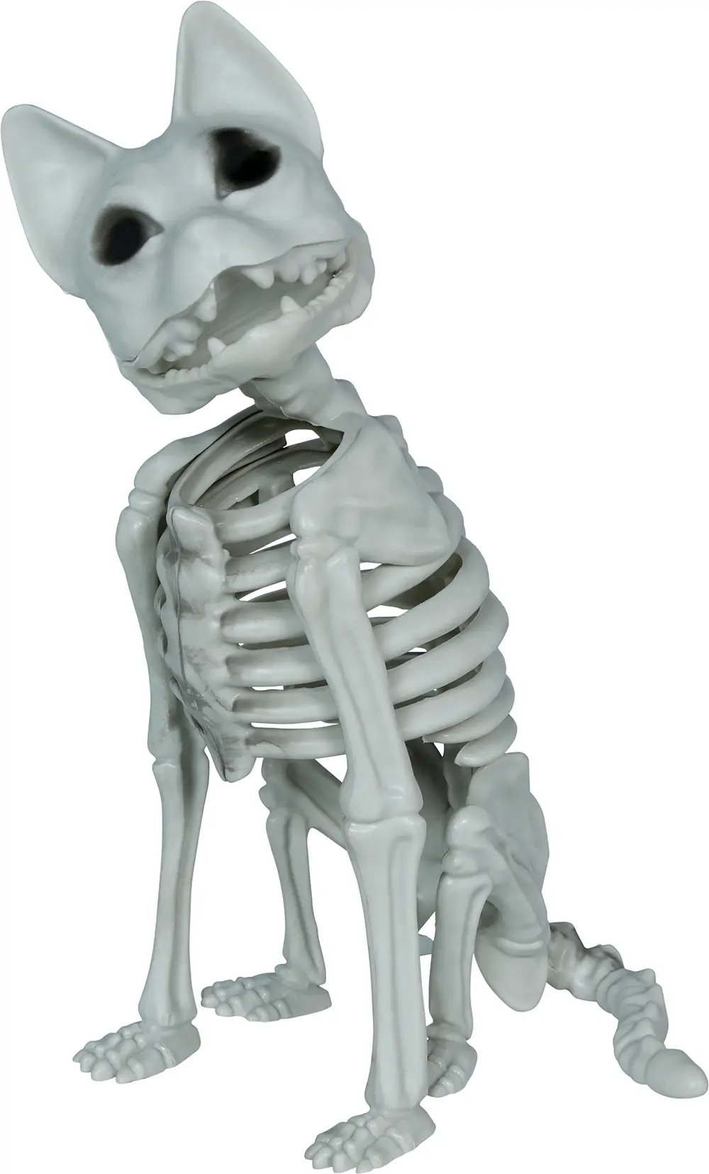 Skeletkat, PVC, 37 cm