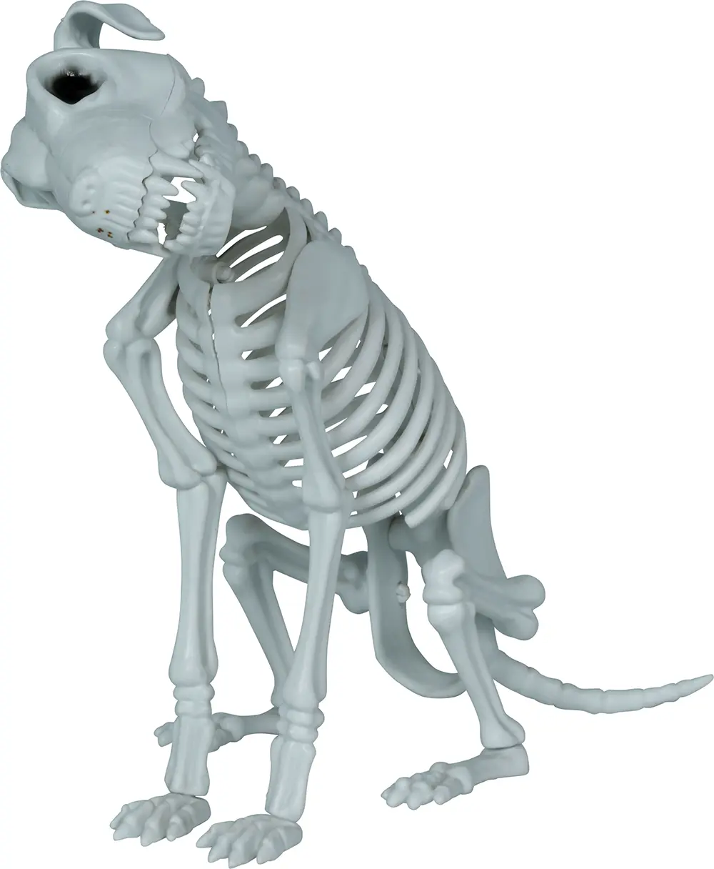 Skelethund, PVC, 38 cm