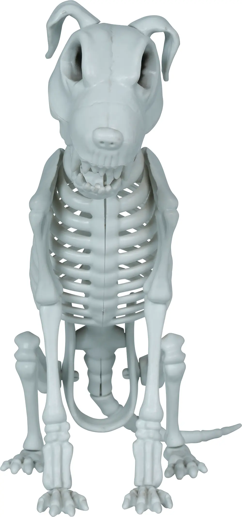 Skelethund, PVC, 38 cm