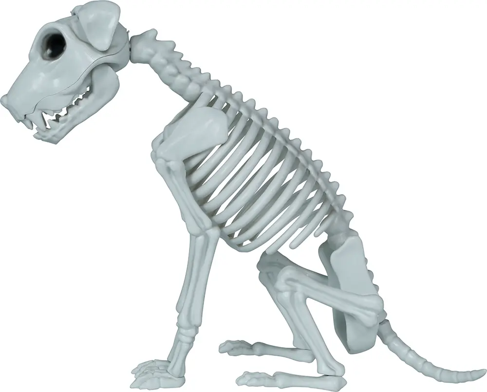 Skelethund, PVC, 38 cm