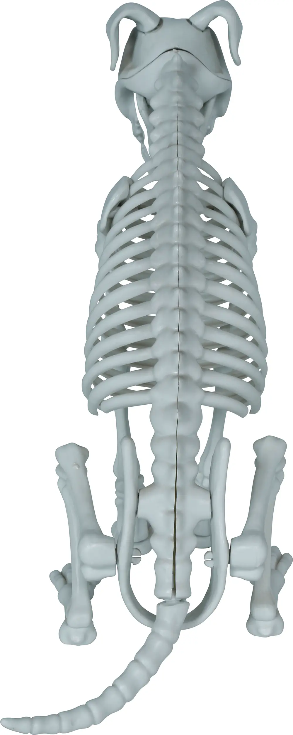 Skelethund, PVC, 38 cm