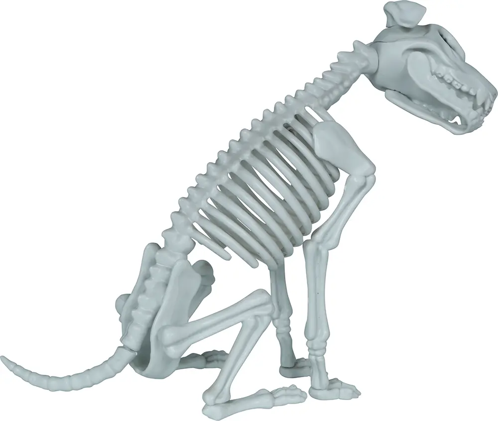 Skelethund, PVC, 38 cm