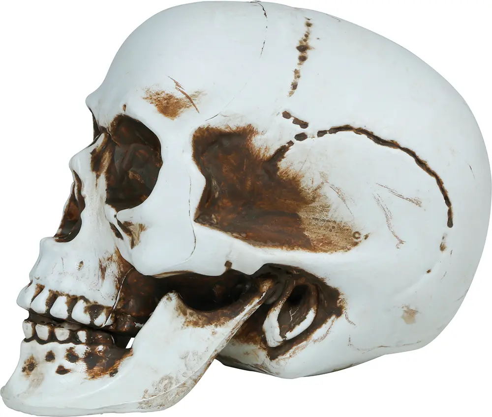 Kranie, PVC, 22 cm