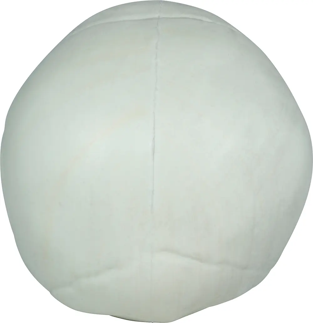 Sæt med 3 kranier, PVC, 15 cm