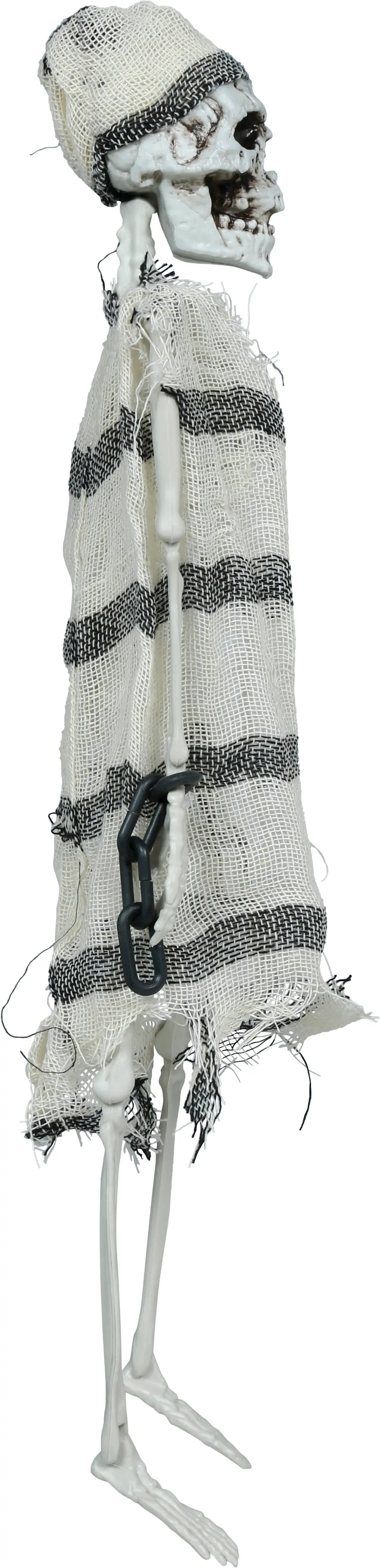 Hængende fangeskelet, 46 cm