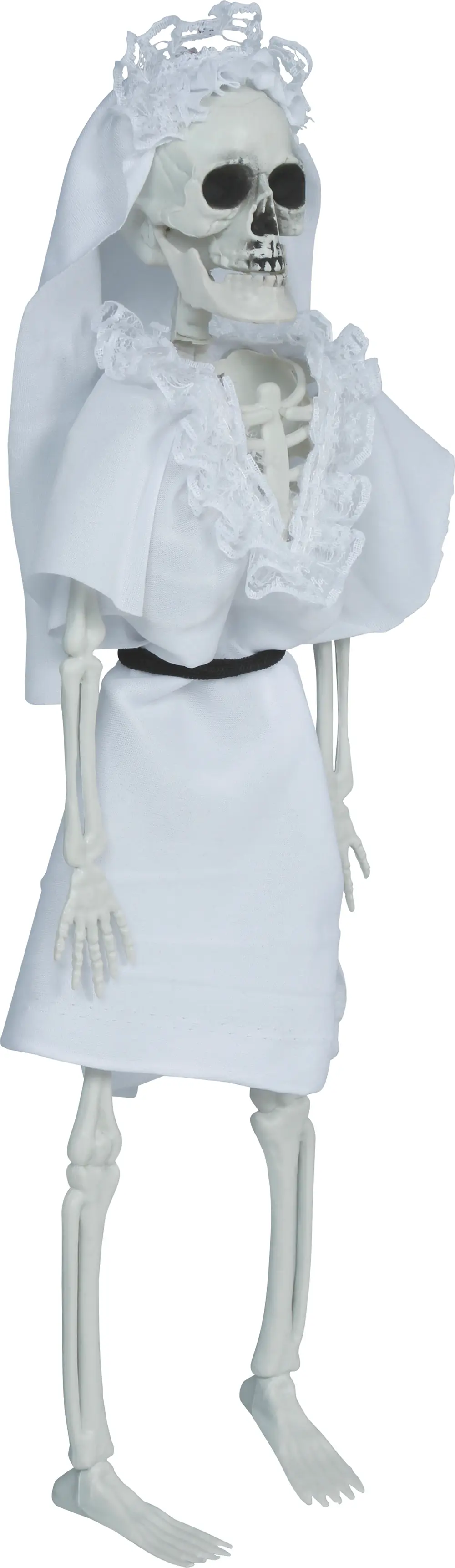 Hængende skeletbrud, 40 cm