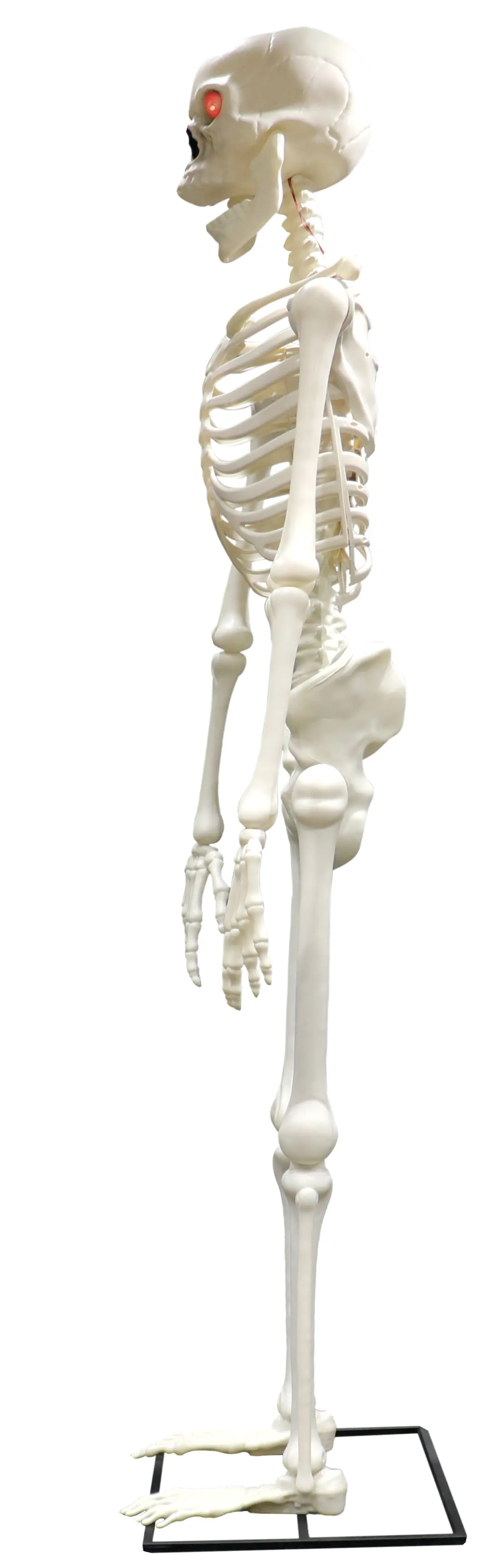 Kæmpeskelet med lys, 310 cm (med metalstativ)