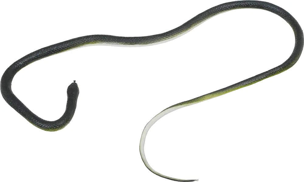 Slange med nylonsnor og klemme til voksne, 80 cm