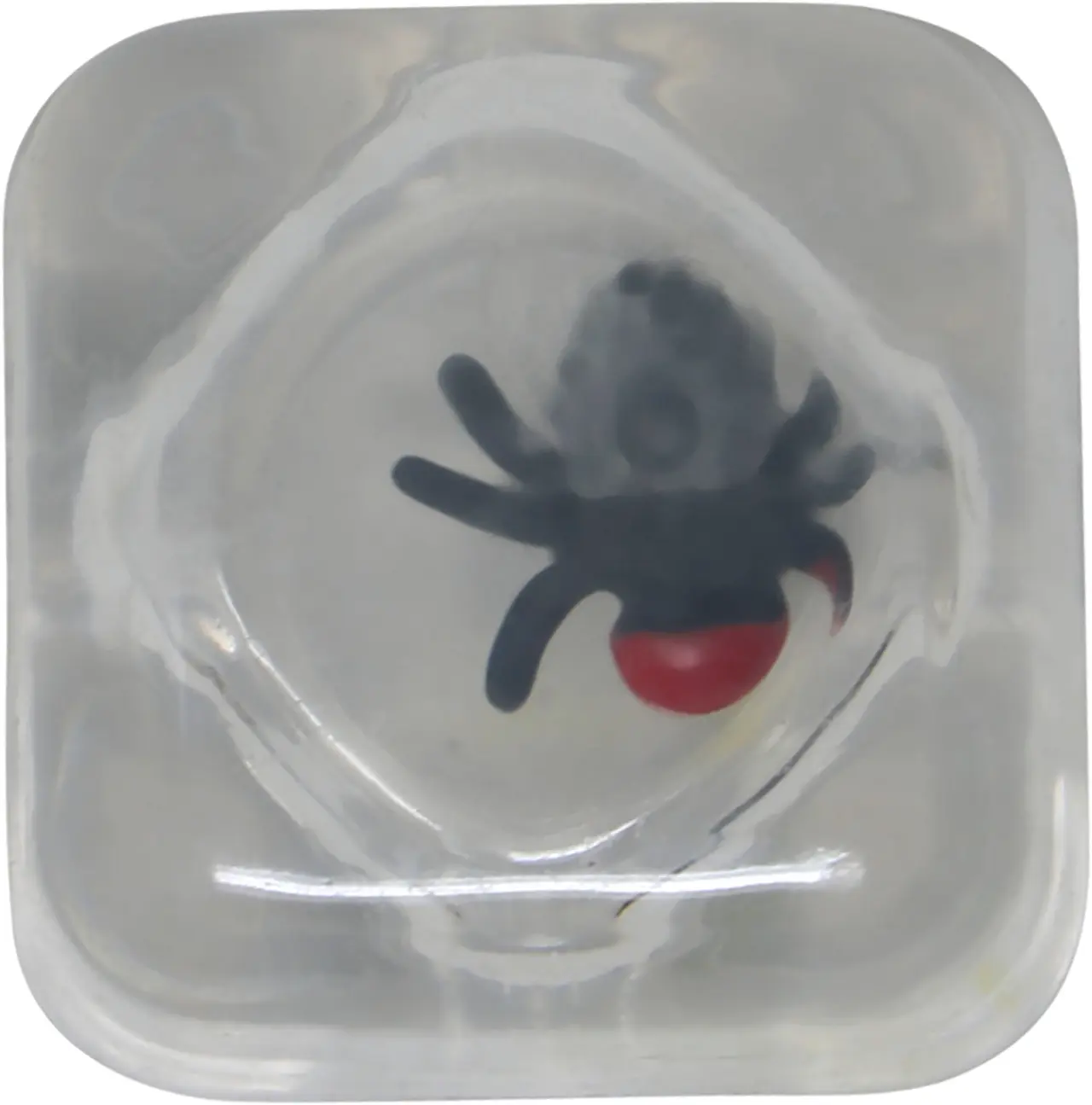 Drille-isterninger med insekter, 8 × 3 × 5 cm