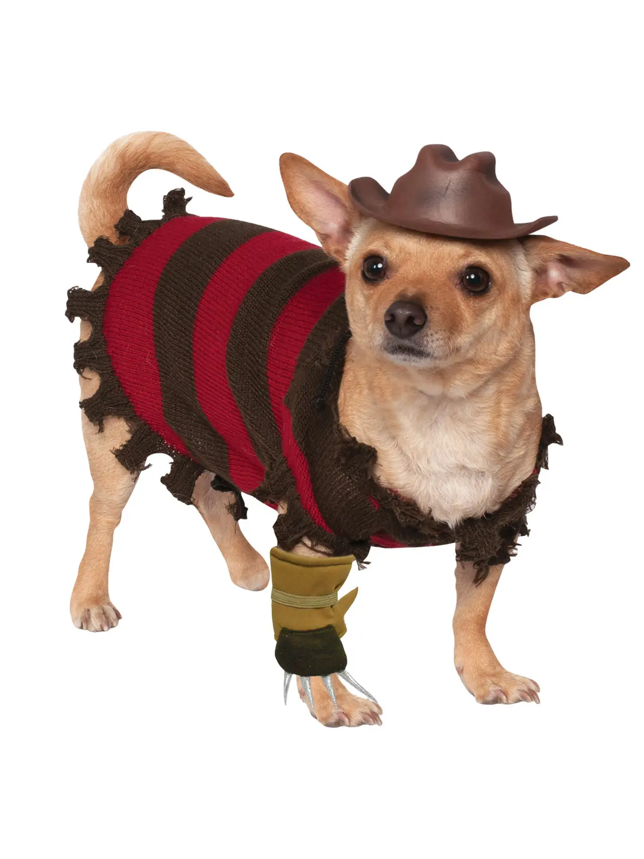 Freddy Krueger – kostume til hunde