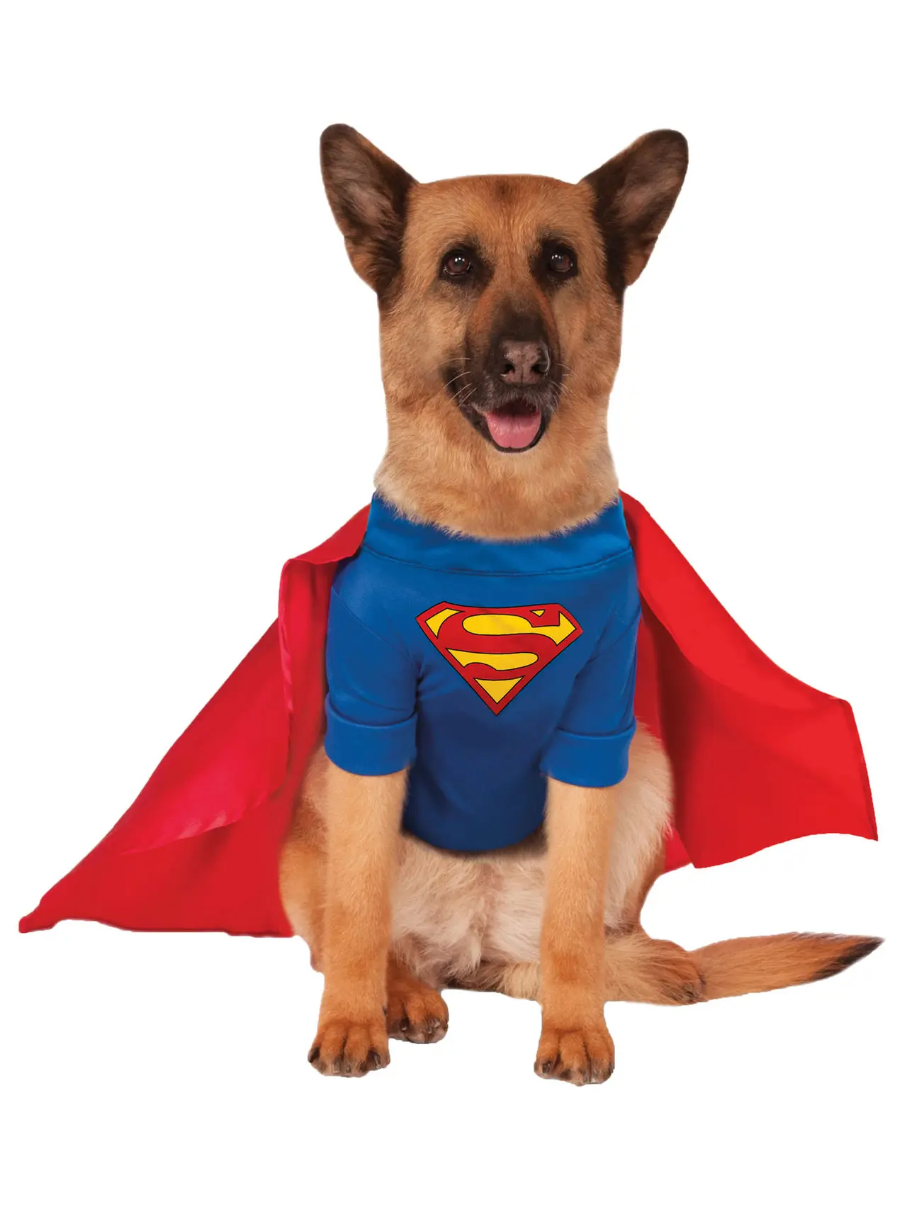 Superman – kostume til hunde