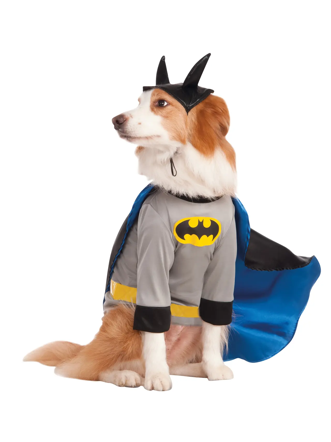 Batman – kostume til hunde
