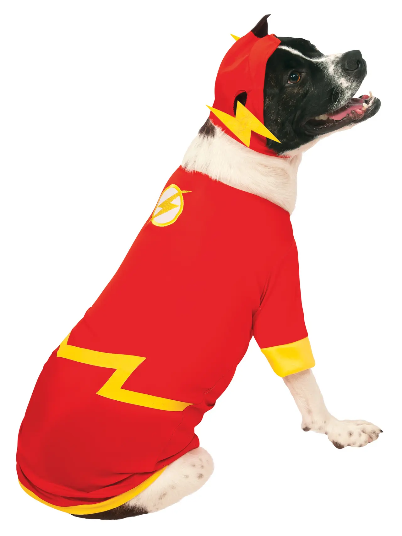 The Flash – kostume til hunde